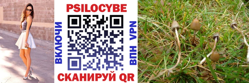 Псилоцибиновые грибы ЛСД  Тогучин 